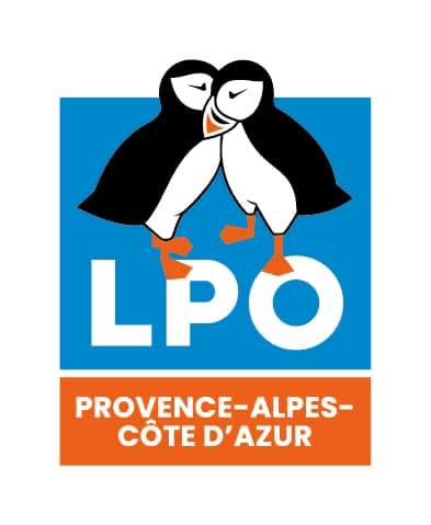 LPOpaca